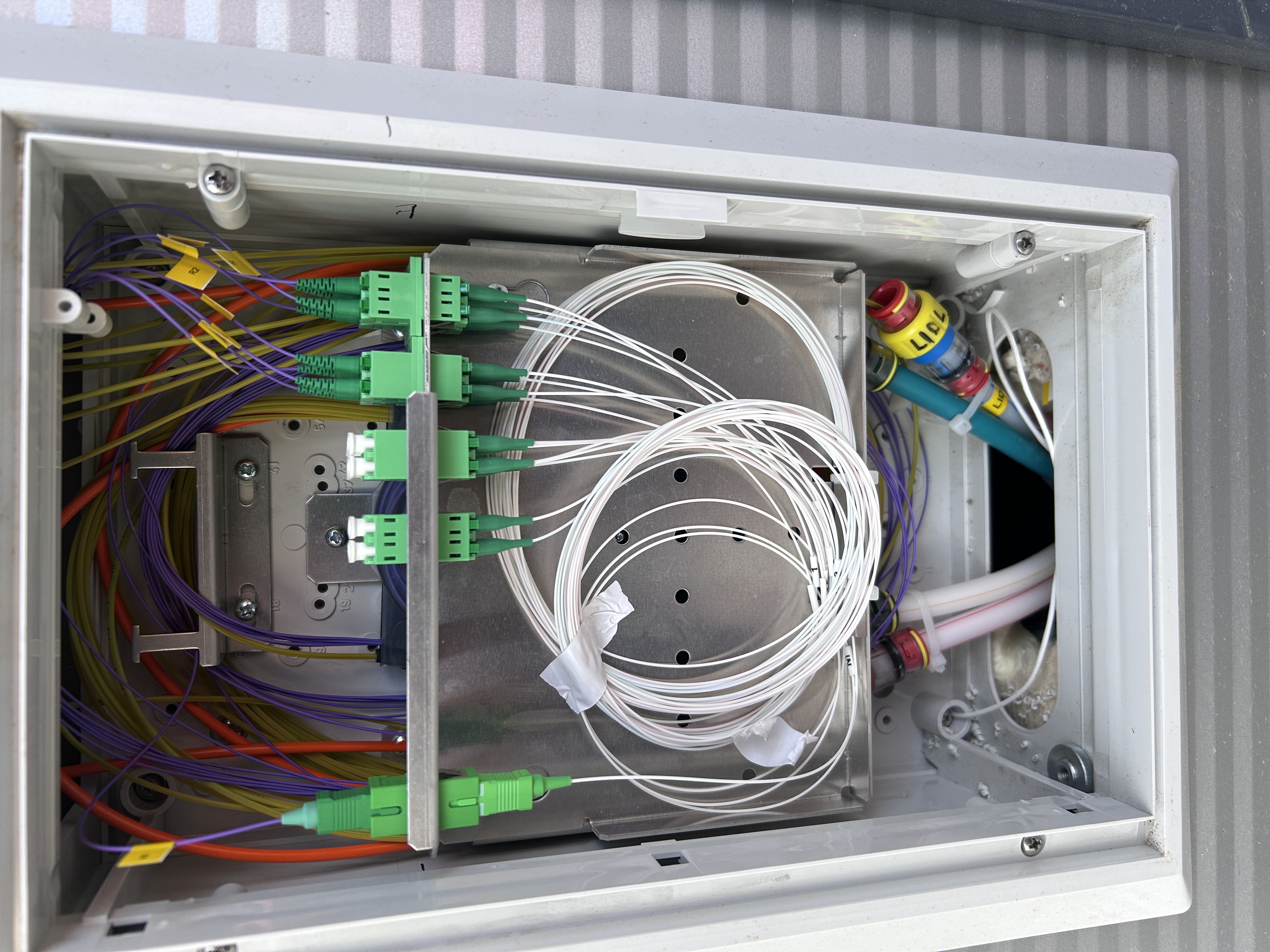 20250624_090142644_iOS